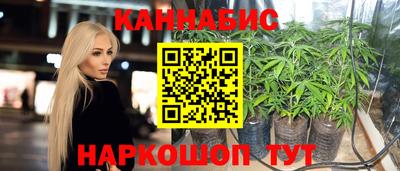 индика Ликино-Дулёво